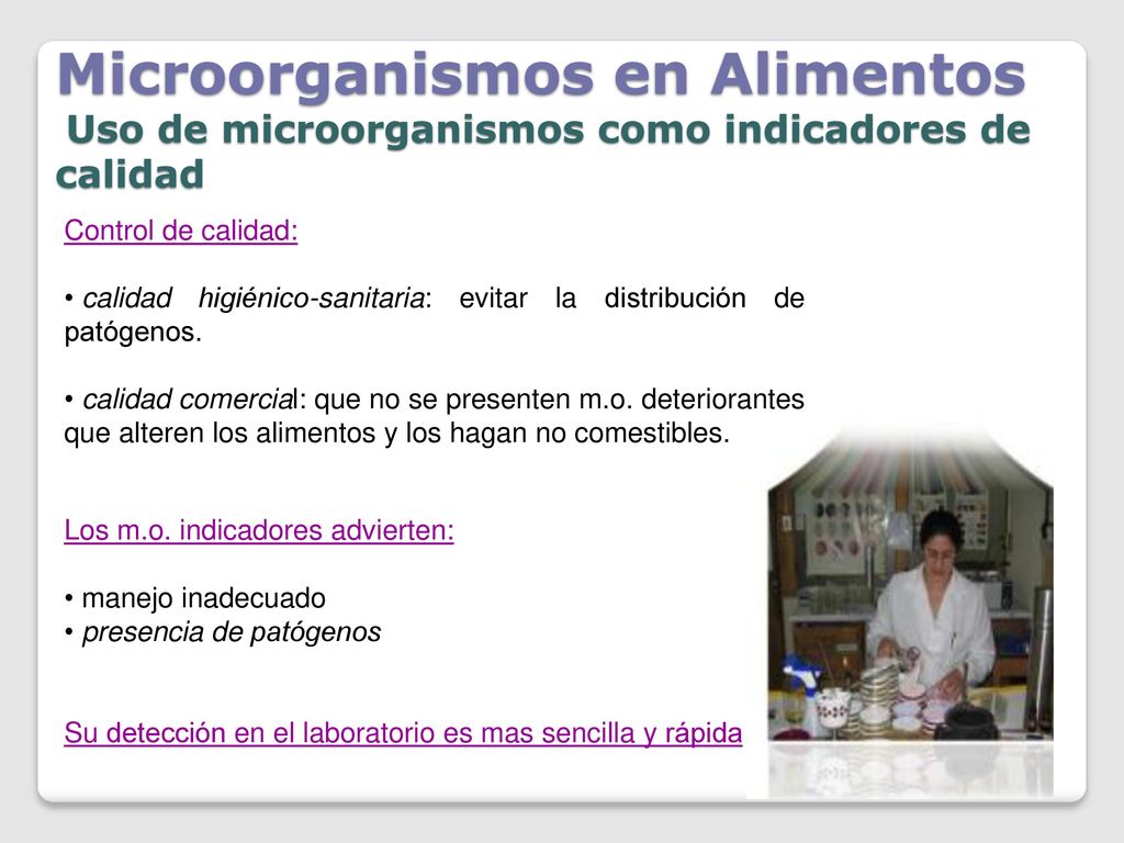Microorganismos en Alimentos Uso de microorganismos como indicadores de calidad
