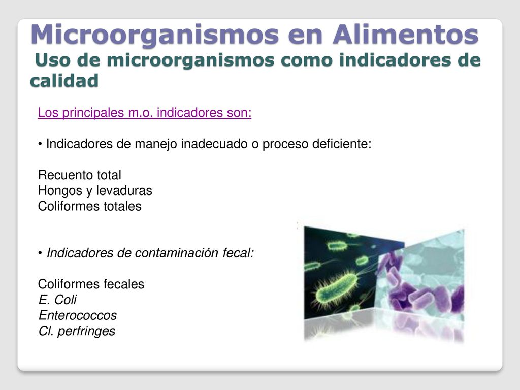 Microorganismos en Alimentos Uso de microorganismos como indicadores de calidad