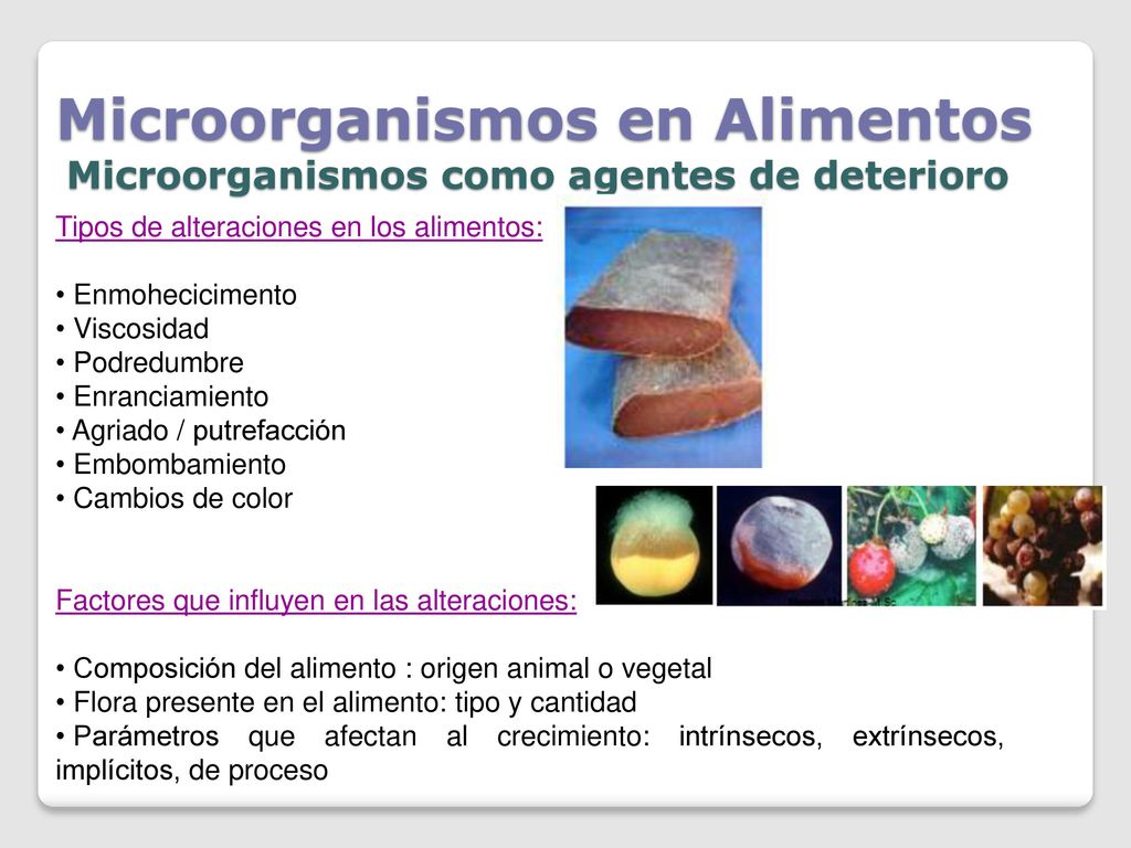 Microorganismos en Alimentos Microorganismos como agentes de deterioro