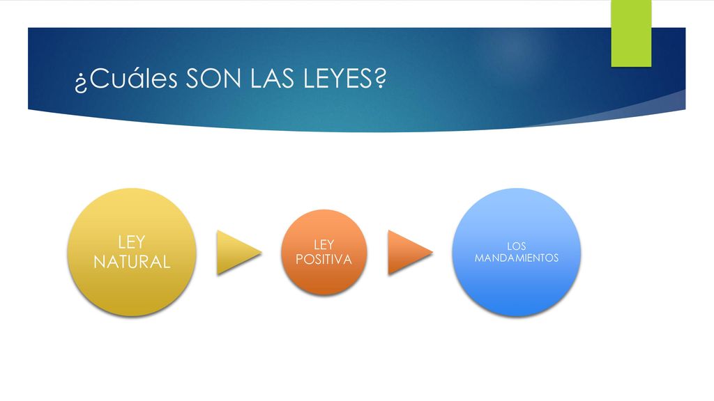 ¿Cuáles SON LAS LEYES LEY NATURAL LEY POSITIVA LOS MANDAMIENTOS