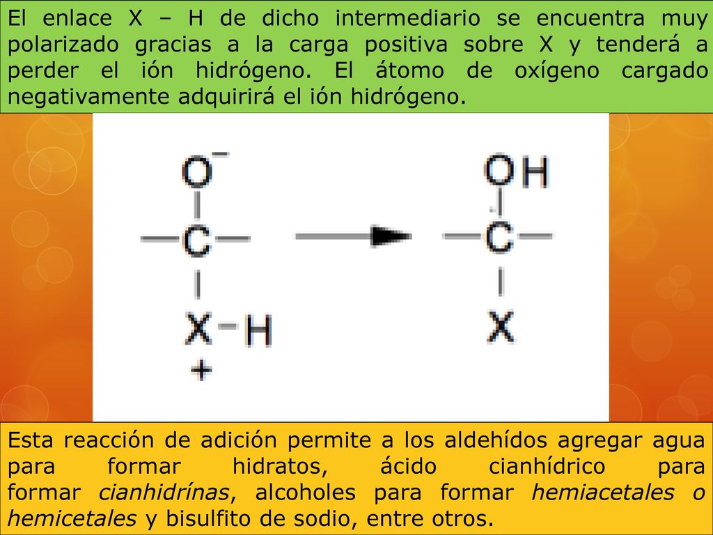 El enlace X – H de dicho intermediario se encuentra muy polarizado gracias a la carga positiva sobre X y tenderá a perder el ión hidrógeno. El átomo de oxígeno cargado negativamente adquirirá el ión hidrógeno.