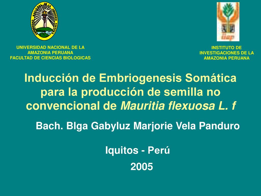 Bach. Blga Gabyluz Marjorie Vela Panduro Iquitos - Perú