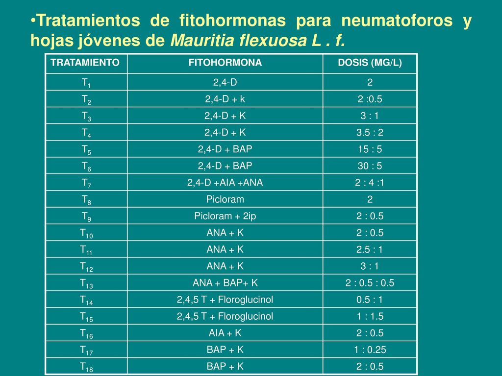 Tratamientos de fitohormonas para neumatoforos y hojas jóvenes de Mauritia flexuosa L . f.