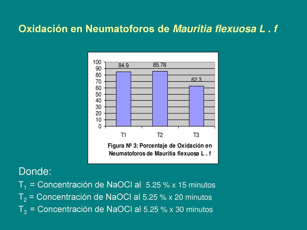 Oxidación en Neumatoforos de Mauritia flexuosa L . f