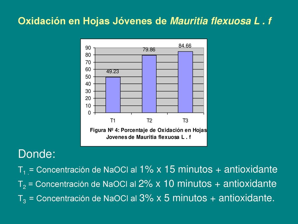 Oxidación en Hojas Jóvenes de Mauritia flexuosa L . f