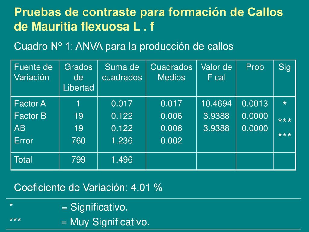 Pruebas de contraste para formación de Callos de Mauritia flexuosa L . f