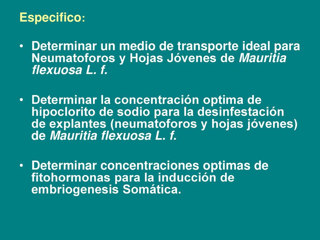Especifico: Determinar un medio de transporte ideal para Neumatoforos y Hojas Jóvenes de Mauritia flexuosa L. f.
