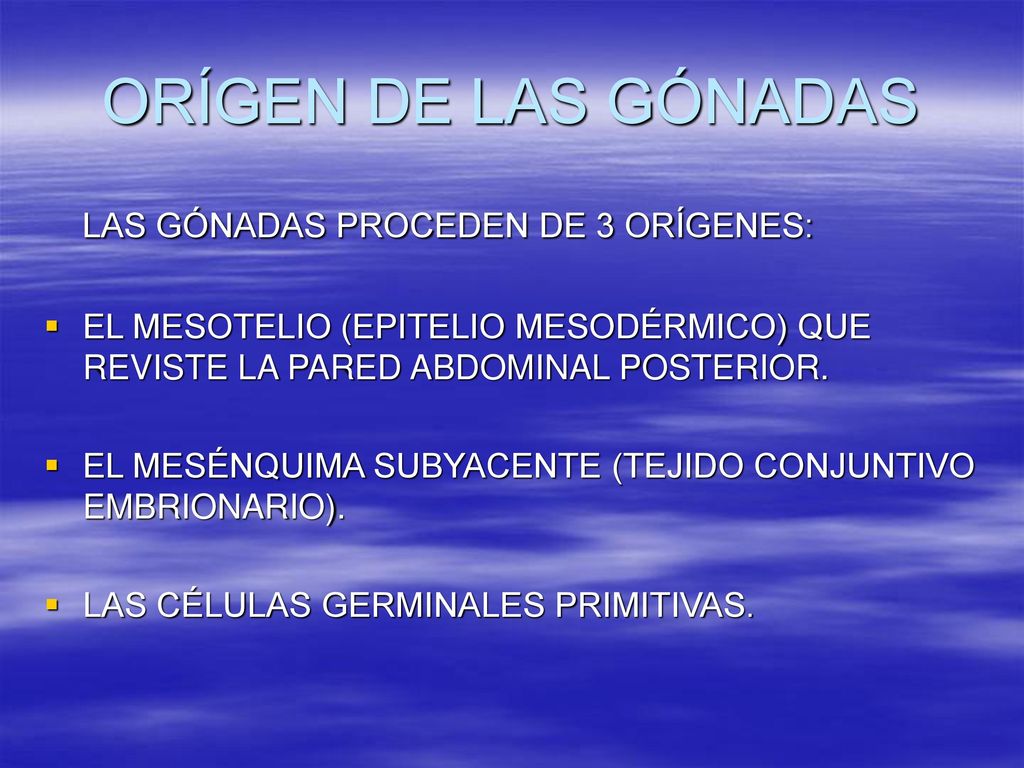 ORÍGEN DE LAS GÓNADAS LAS GÓNADAS PROCEDEN DE 3 ORÍGENES: