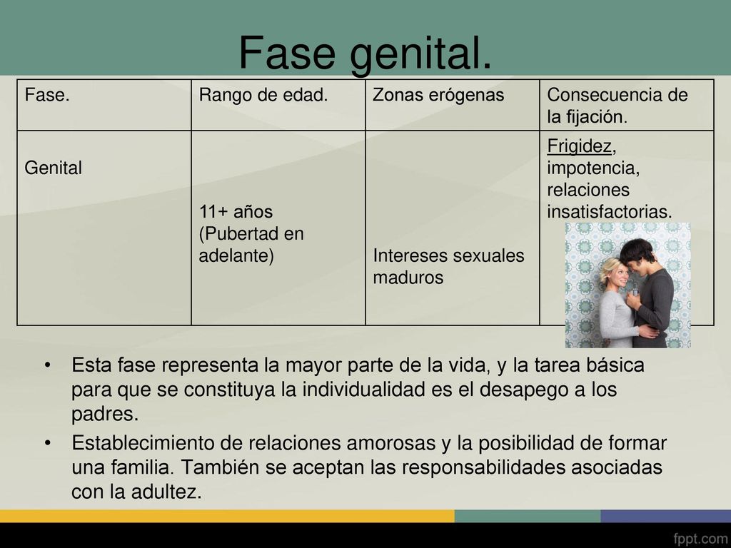 Fase genital. Fase. Rango de edad. Zonas erógenas. Consecuencia de la fijación. Genital. 11+ años (Pubertad en adelante)