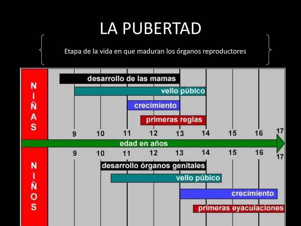 Etapa de la vida en que maduran los órganos reproductores