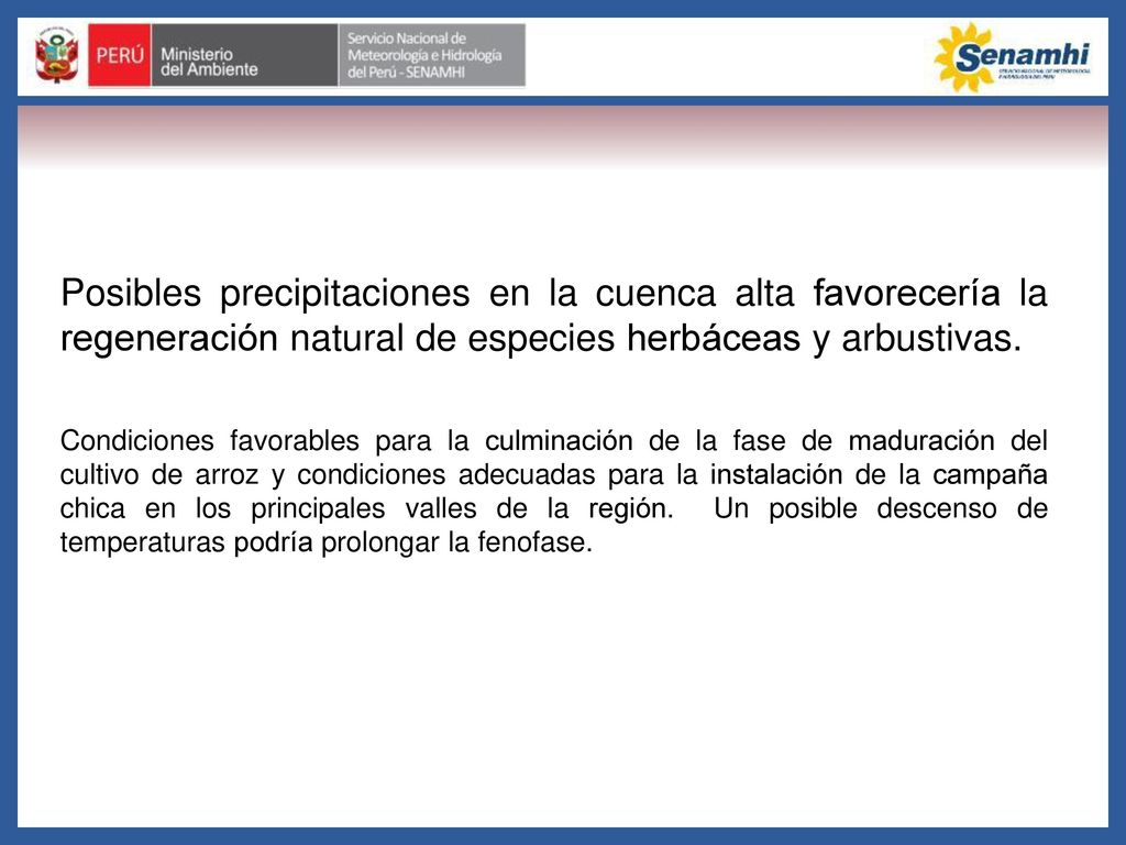 Posibles precipitaciones en la cuenca alta favorecería la regeneración natural de especies herbáceas y arbustivas.