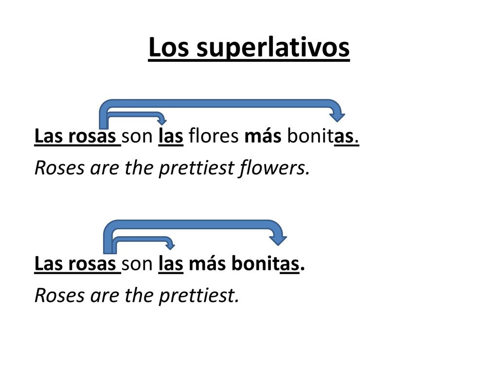 Los superlativos Las rosas son las flores más bonitas.