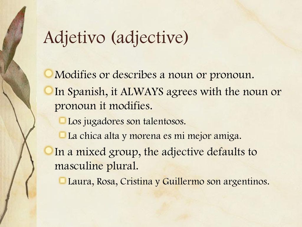 Adjetivo (adjective) Modifies or describes a noun or pronoun.