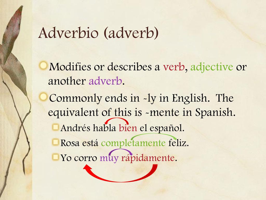 Adverbio (adverb) Modifies or describes a verb, adjective or another adverb.