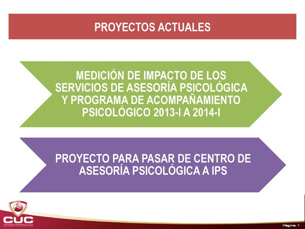 PROYECTO PARA PASAR DE CENTRO DE ASESORÍA PSICOLÓGICA A IPS