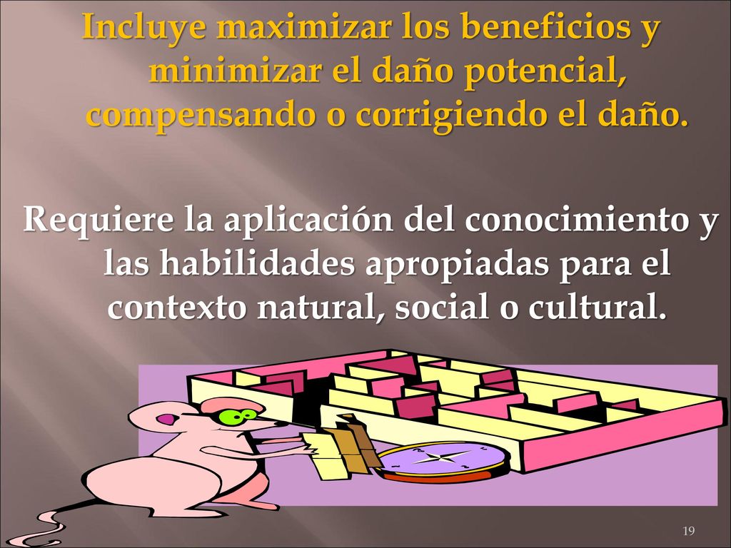 Incluye maximizar los beneficios y minimizar el daño potencial, compensando o corrigiendo el daño.