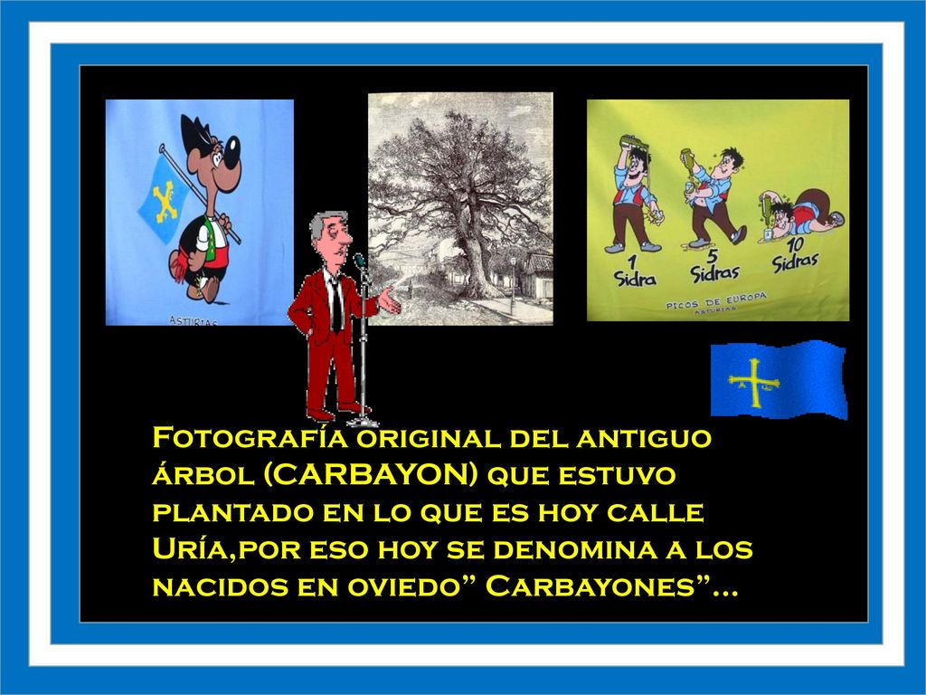 Fotografía original del antiguo árbol (CARBAYON) que estuvo plantado en lo que es hoy calle Uría,por eso hoy se denomina a los nacidos en oviedo Carbayones ...