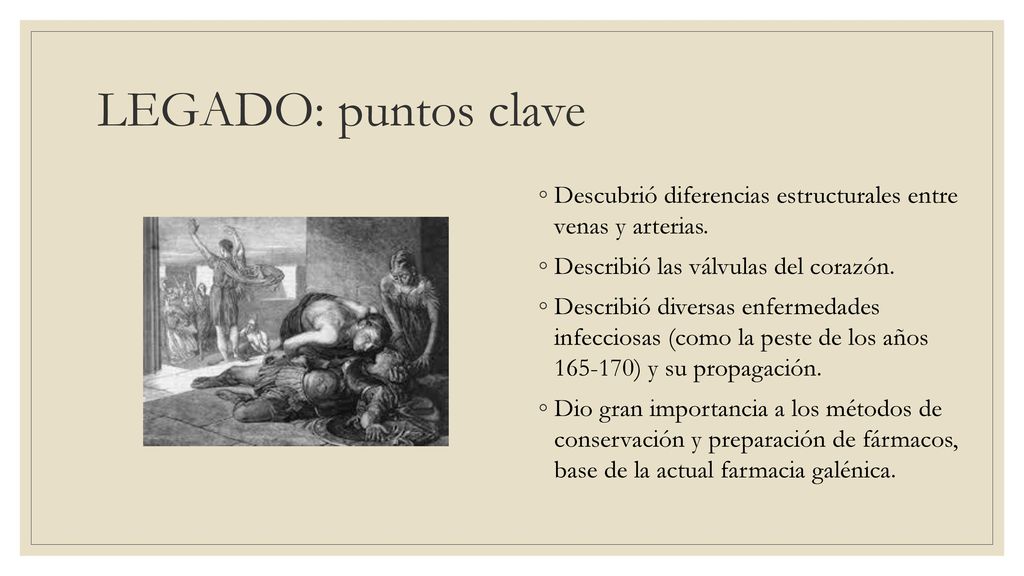 LEGADO: puntos clave Descubrió diferencias estructurales entre venas y arterias. Describió las válvulas del corazón.