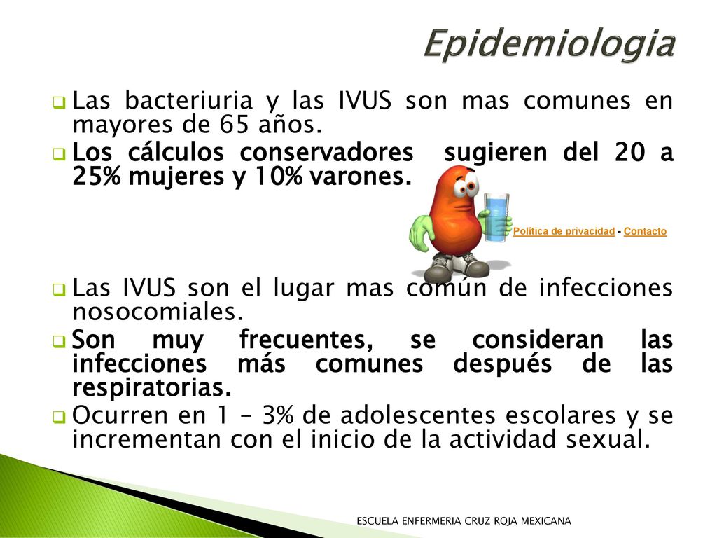 Epidemiologia Las bacteriuria y las IVUS son mas comunes en mayores de 65 años.