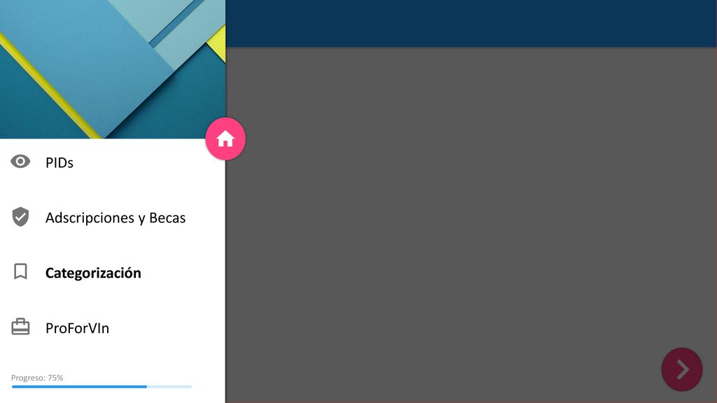 PIDs Adscripciones y Becas Categorización ProForVIn Progreso: 75%