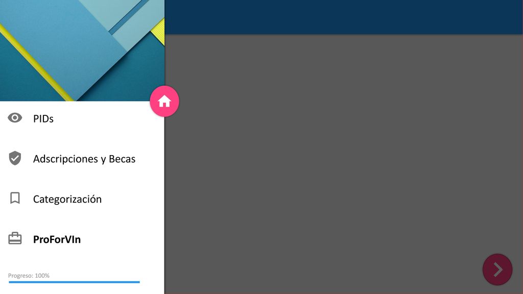 PIDs Adscripciones y Becas Categorización ProForVIn Progreso: 100%