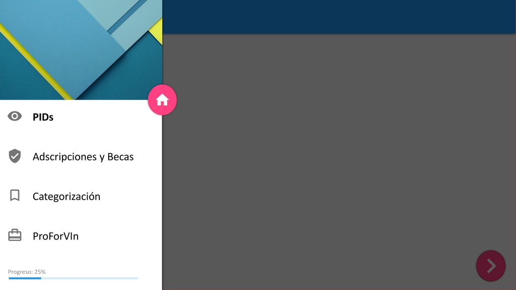 PIDs Adscripciones y Becas Categorización ProForVIn Progreso: 25%