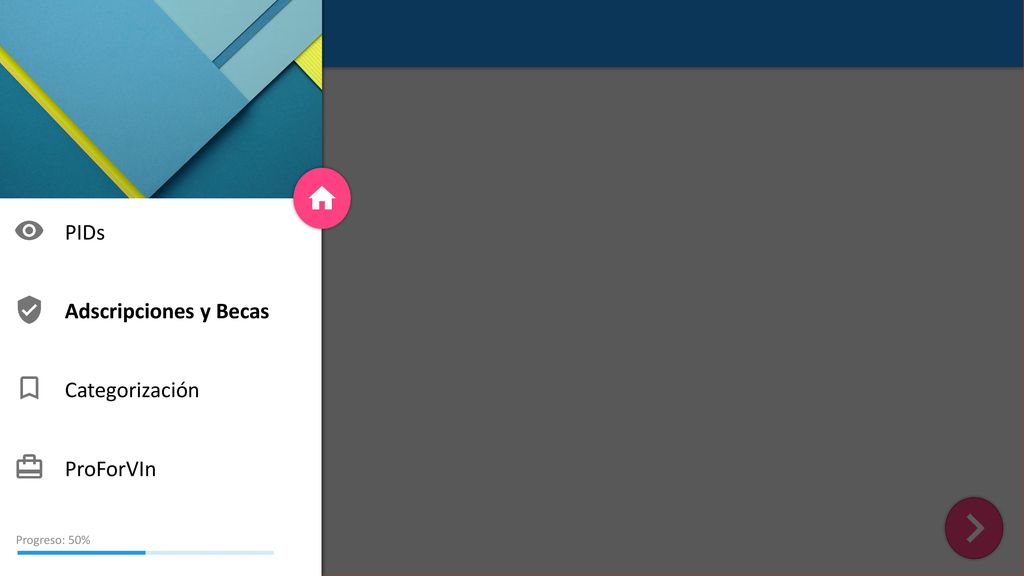 PIDs Adscripciones y Becas Categorización ProForVIn Progreso: 50%