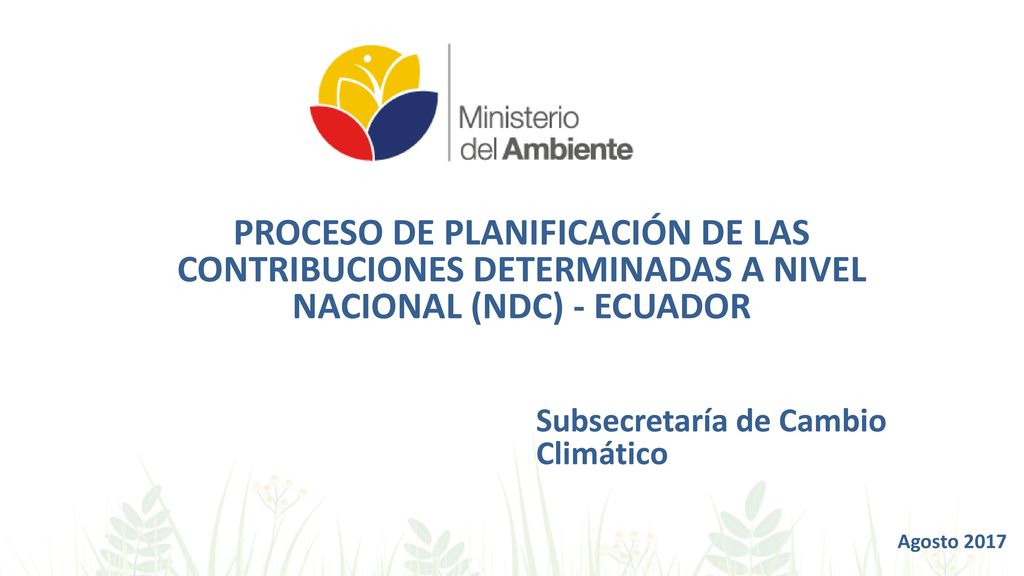 PROCESO DE PLANIFICACIÓN DE LAS CONTRIBUCIONES DETERMINADAS A NIVEL NACIONAL (NDC) - ECUADOR