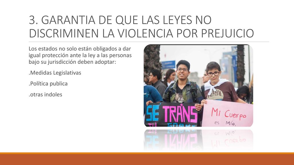 3. GARANTIA DE QUE LAS LEYES NO DISCRIMINEN LA VIOLENCIA POR PREJUICIO