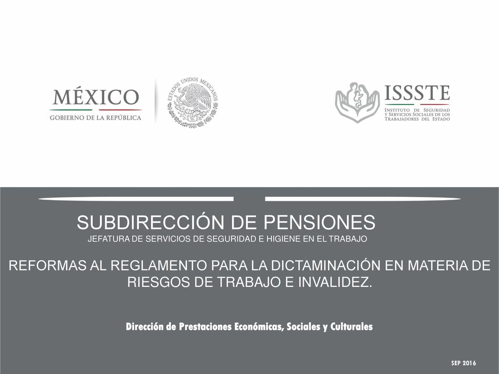 JEFATURA DE SERVICIOS DE SEGURIDAD E HIGIENE EN EL TRABAJO