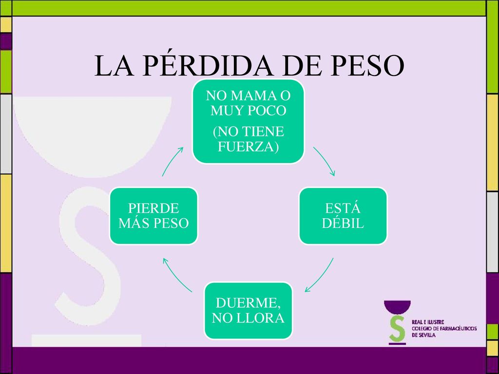 LA PÉRDIDA DE PESO NO MAMA O MUY POCO (NO TIENE FUERZA) ESTÁ DÉBIL