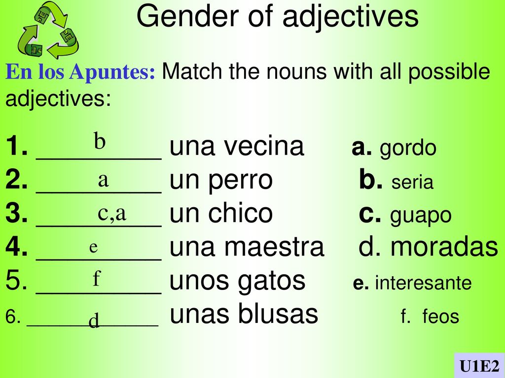Gender of adjectives 1. ________ una vecina a. gordo