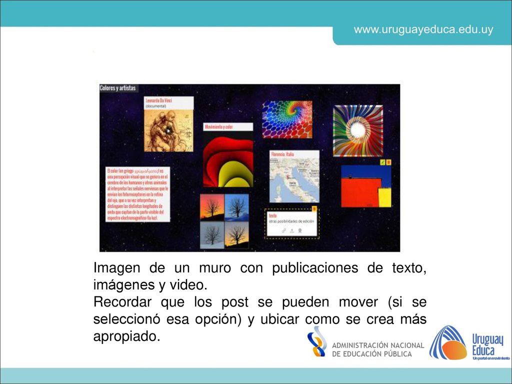 Imagen de un muro con publicaciones de texto, imágenes y video.
