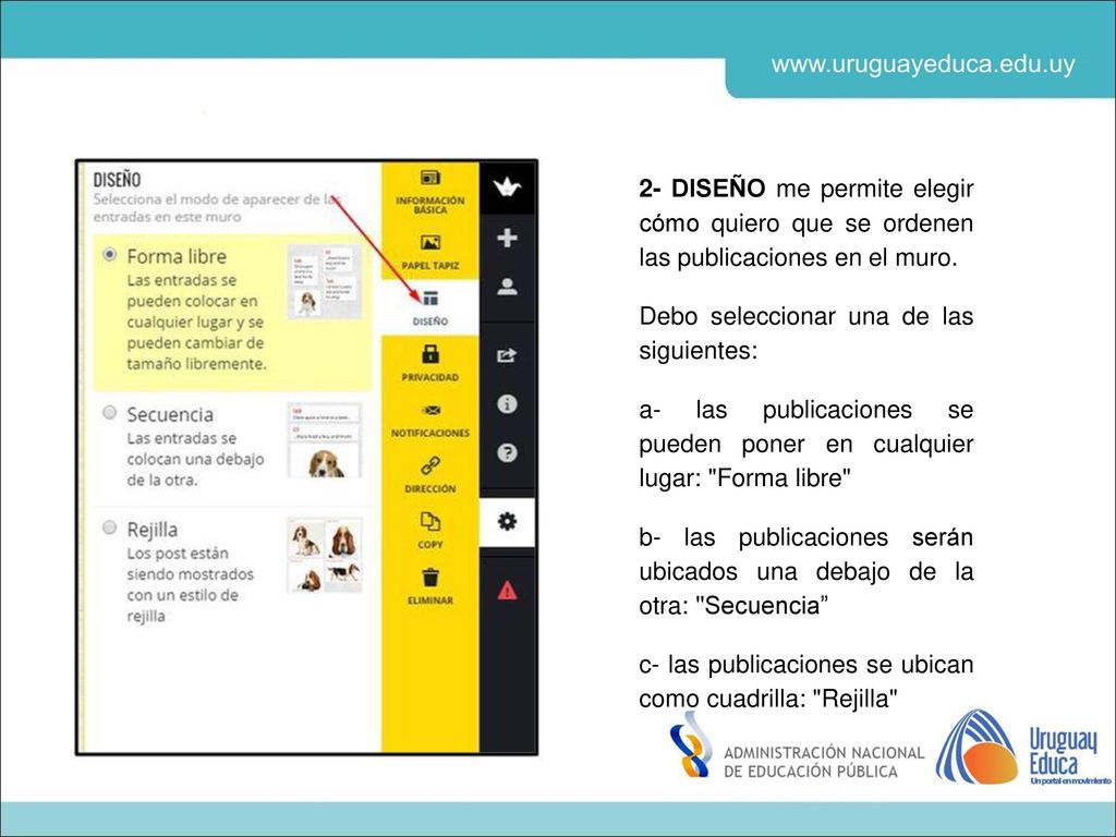 2- DISEÑO me permite elegir cómo quiero que se ordenen las publicaciones en el muro.