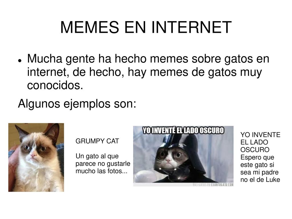MEMES EN INTERNET Mucha gente ha hecho memes sobre gatos en internet, de hecho, hay memes de gatos muy conocidos.