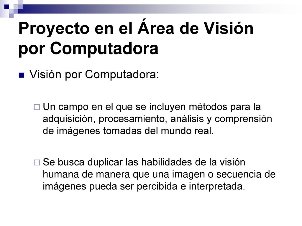 Proyecto en el Área de Visión por Computadora