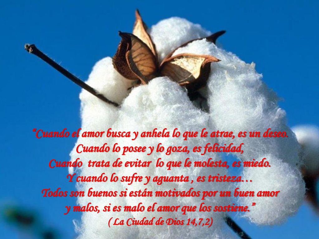 Cuando el amor busca y anhela lo que le atrae, es un deseo.