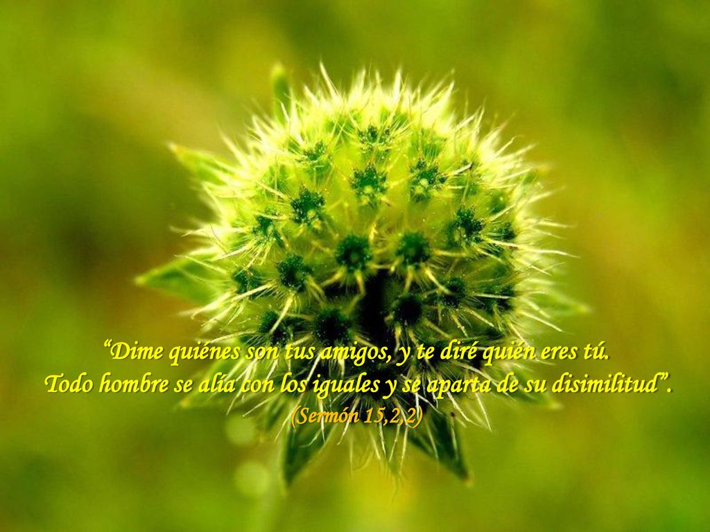 Dime quiénes son tus amigos, y te diré quién eres tú.