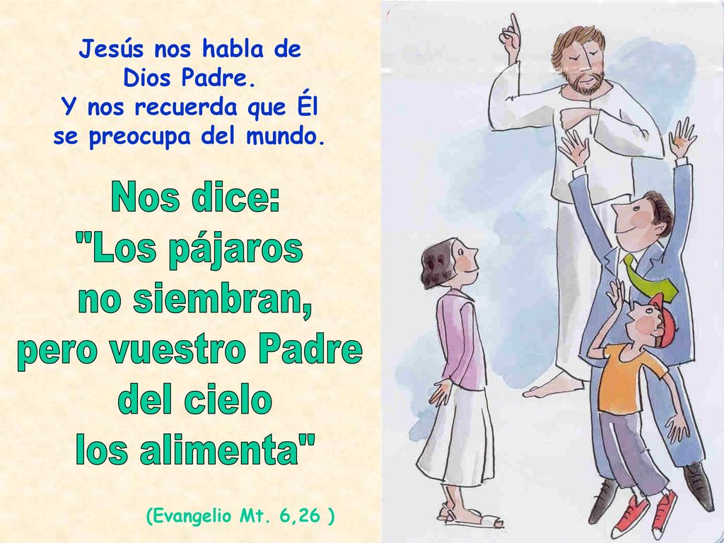 Nos dice: Los pájaros no siembran, pero vuestro Padre del cielo