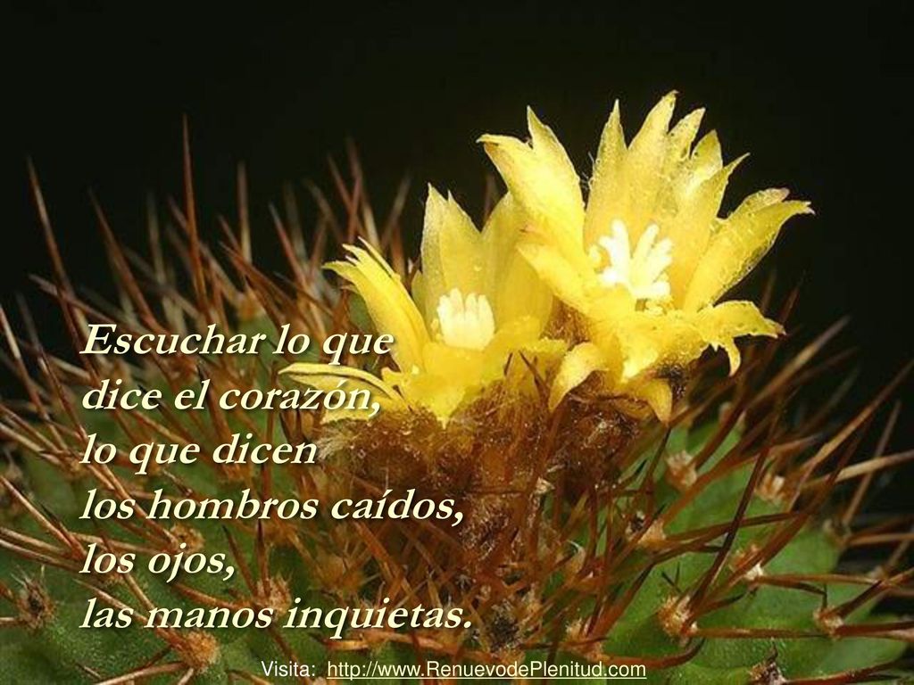 Escuchar lo que dice el corazón, lo que dicen los hombros caídos,
