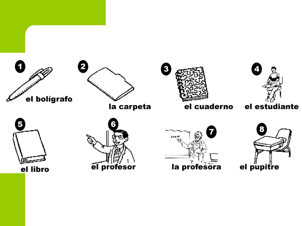 el bolígrafo. la carpeta. el cuaderno. el estudiante el profesor.