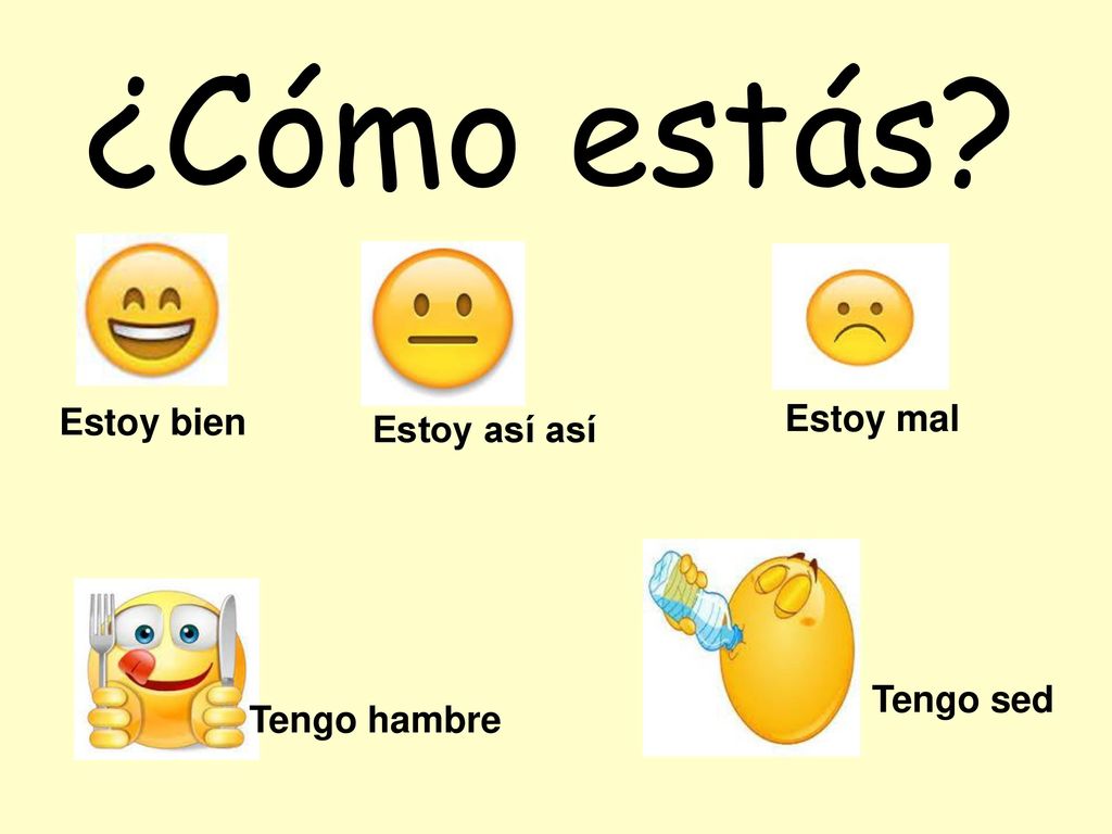 ¿Cómo estás Estoy bien Estoy mal Estoy así así Tengo sed Tengo hambre