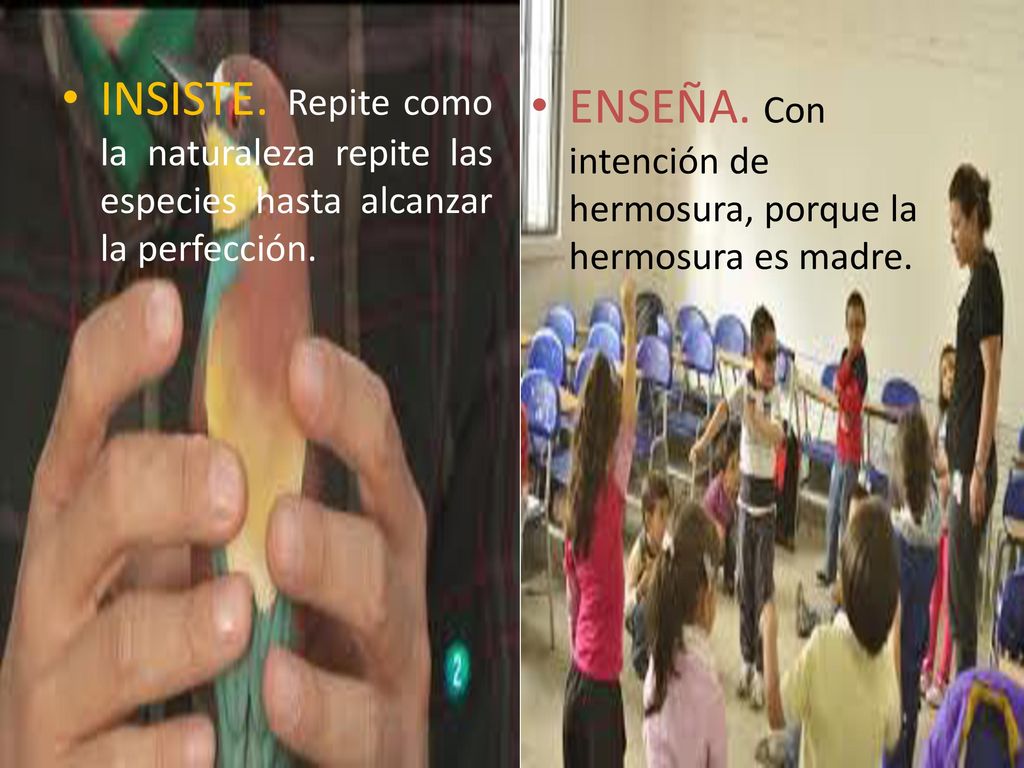 INSISTE. Repite como la naturaleza repite las especies hasta alcanzar la perfección.