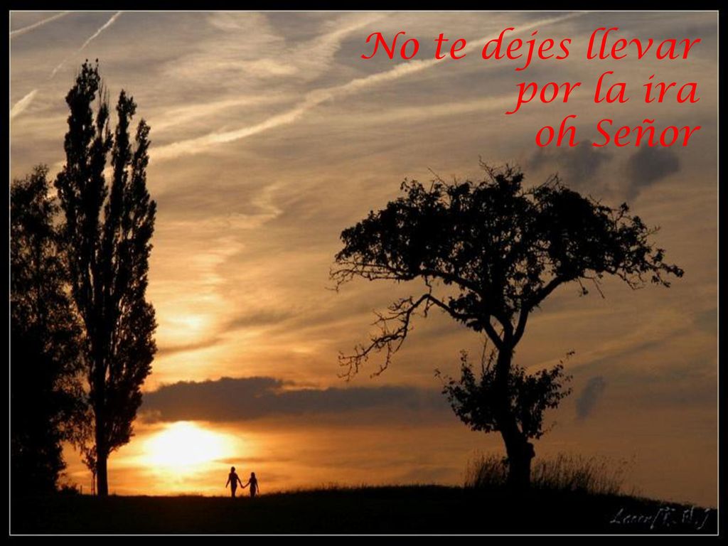 No te dejes llevar por la ira oh Señor