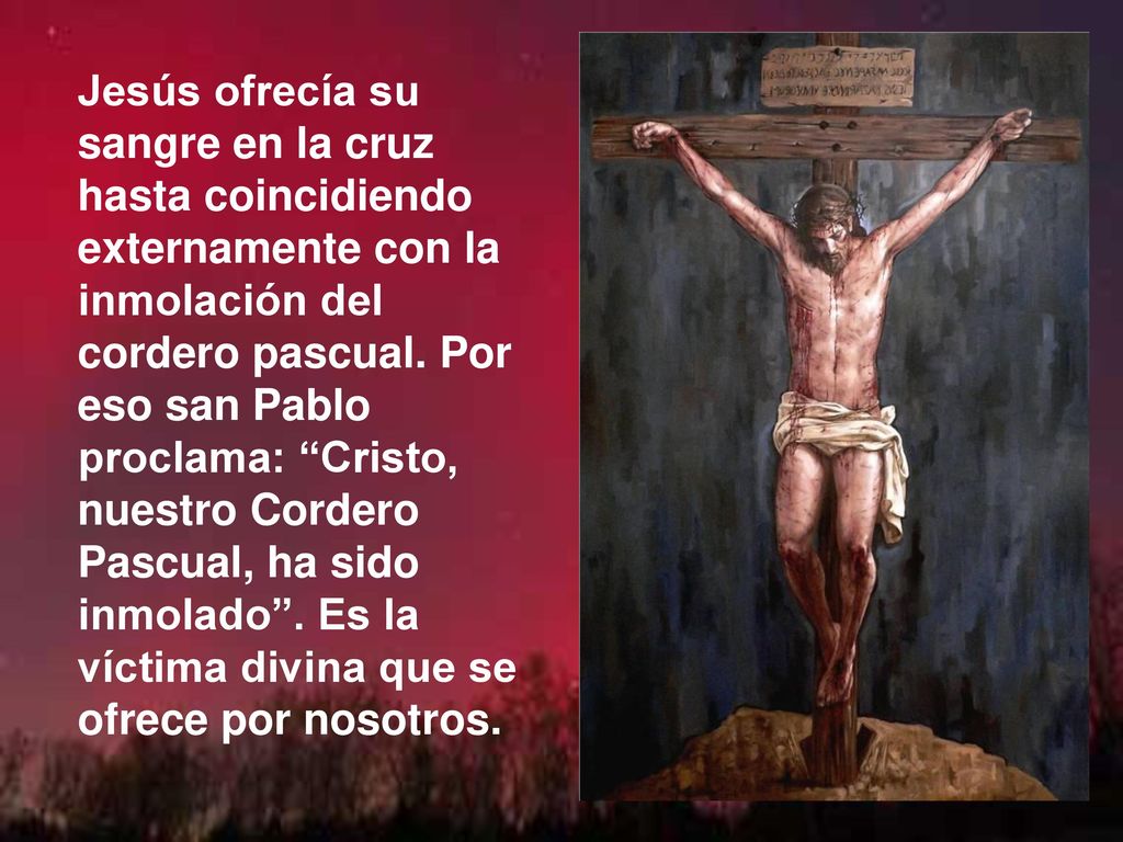 Jesús ofrecía su sangre en la cruz hasta coincidiendo externamente con la inmolación del cordero pascual.