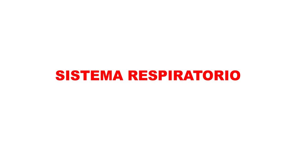 SISTEMA RESPIRATORIO