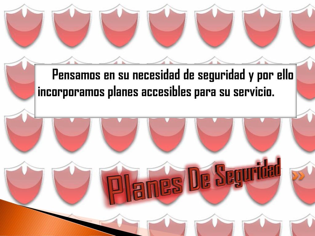 Pensamos en su necesidad de seguridad y por ello incorporamos planes accesibles para su servicio.