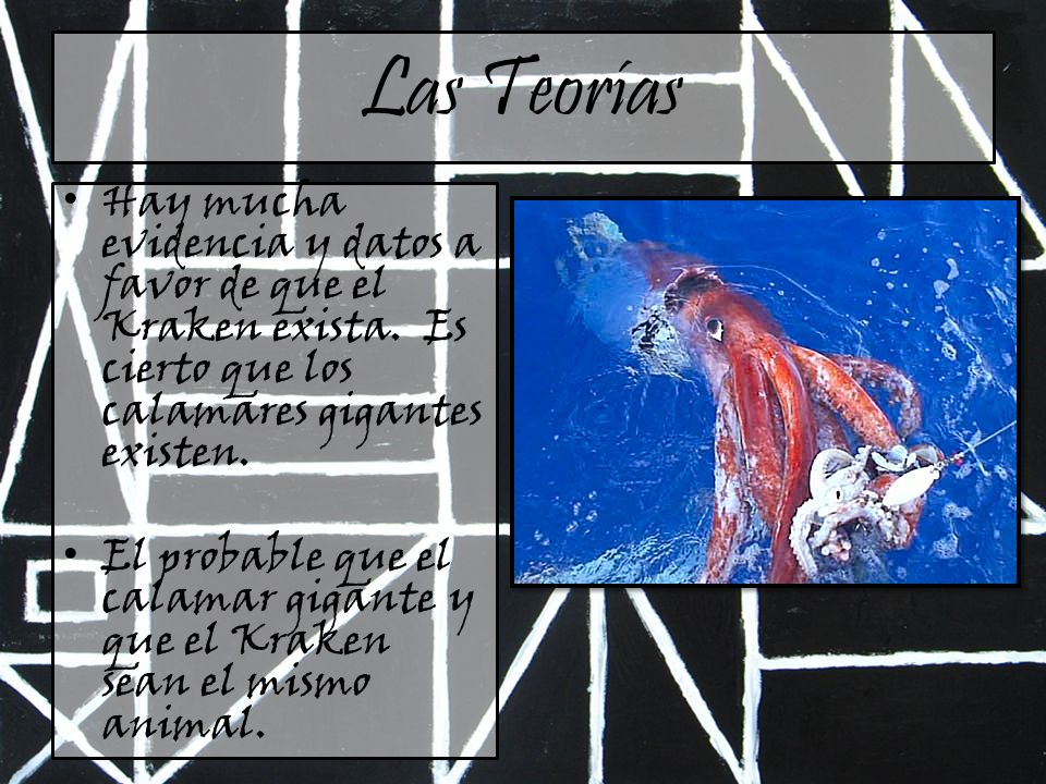 Las Teorías Hay mucha evidencia y datos a favor de que el Kraken exista. Es cierto que los calamares gigantes existen.