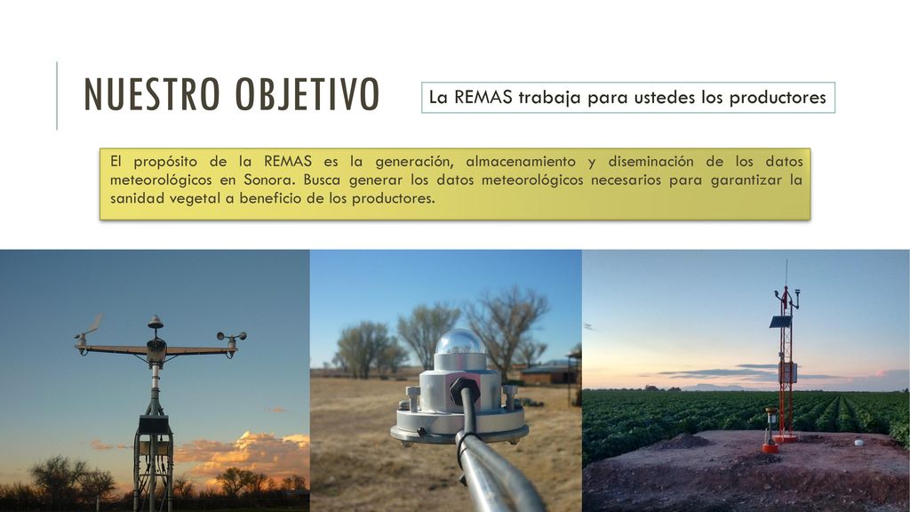 Nuestro objetivo La REMAS trabaja para ustedes los productores