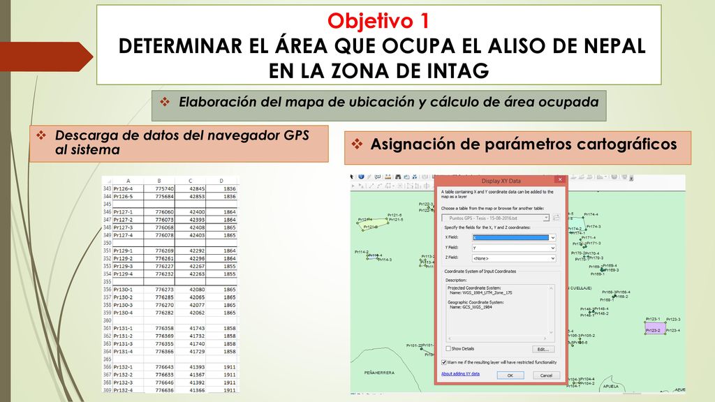 DETERMINAR EL ÁREA QUE OCUPA EL ALISO DE NEPAL EN LA ZONA DE INTAG